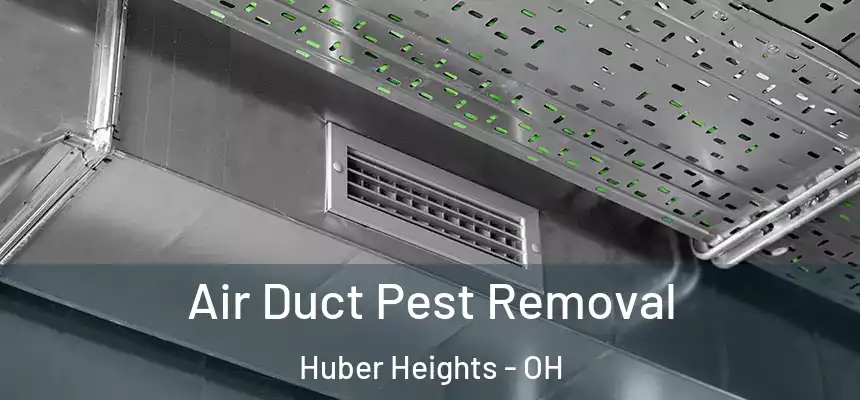  Air Duct Pest Removal Huber Heights - OH