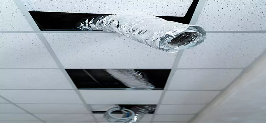 Affordable HVAC Sanitizing After Pest Removal in Huber Heights