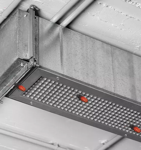 Affordable Insect Removal from Air Ducts in Huber Heights, OH